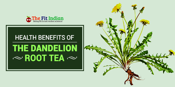 Some Trivia on dandelion tea Root